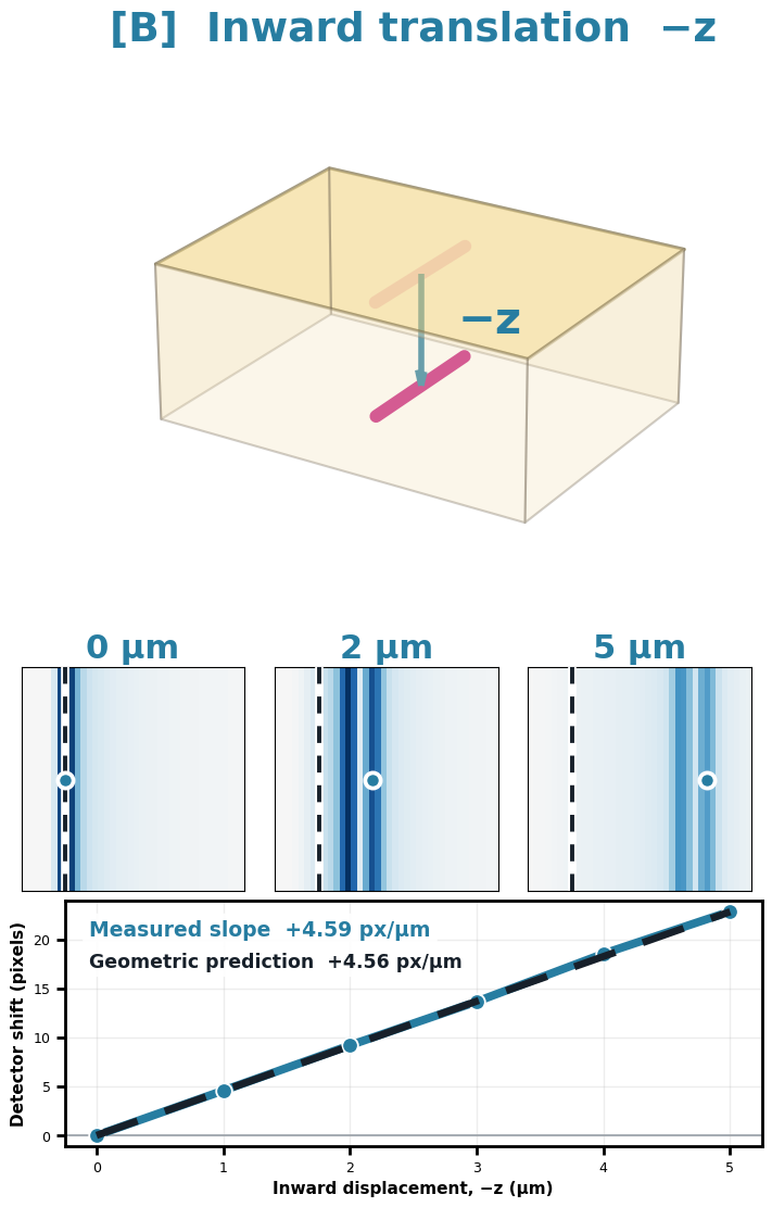Simulated DFXM response to inward translation of a localized strain field