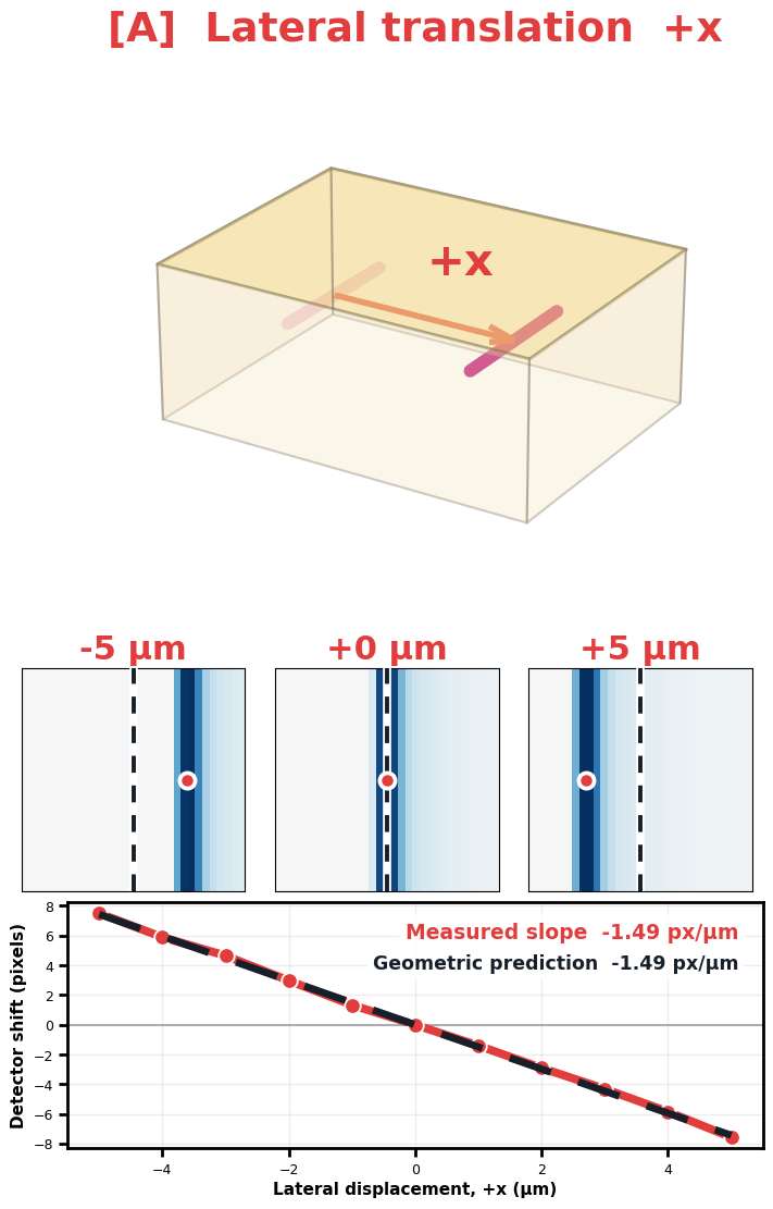 Simulated DFXM response to lateral translation of a localized strain field